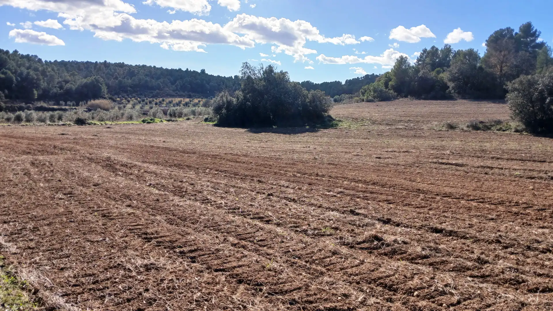 Terreni e lotti in vendita a Lledó, imagen 12