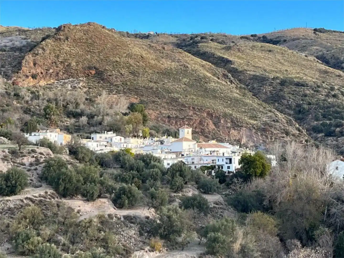 Vista exterior de Casa adosada en venta en Almegíjar
