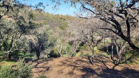 Photo 5 of Residential for sale in Calle el Ronquillo, 1, Los Lagos, Guillena