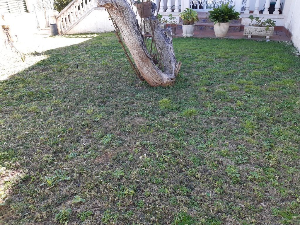 Garden of Single-family semi-detached for sale in Cunit  with Private garden, Terrace and Storage room