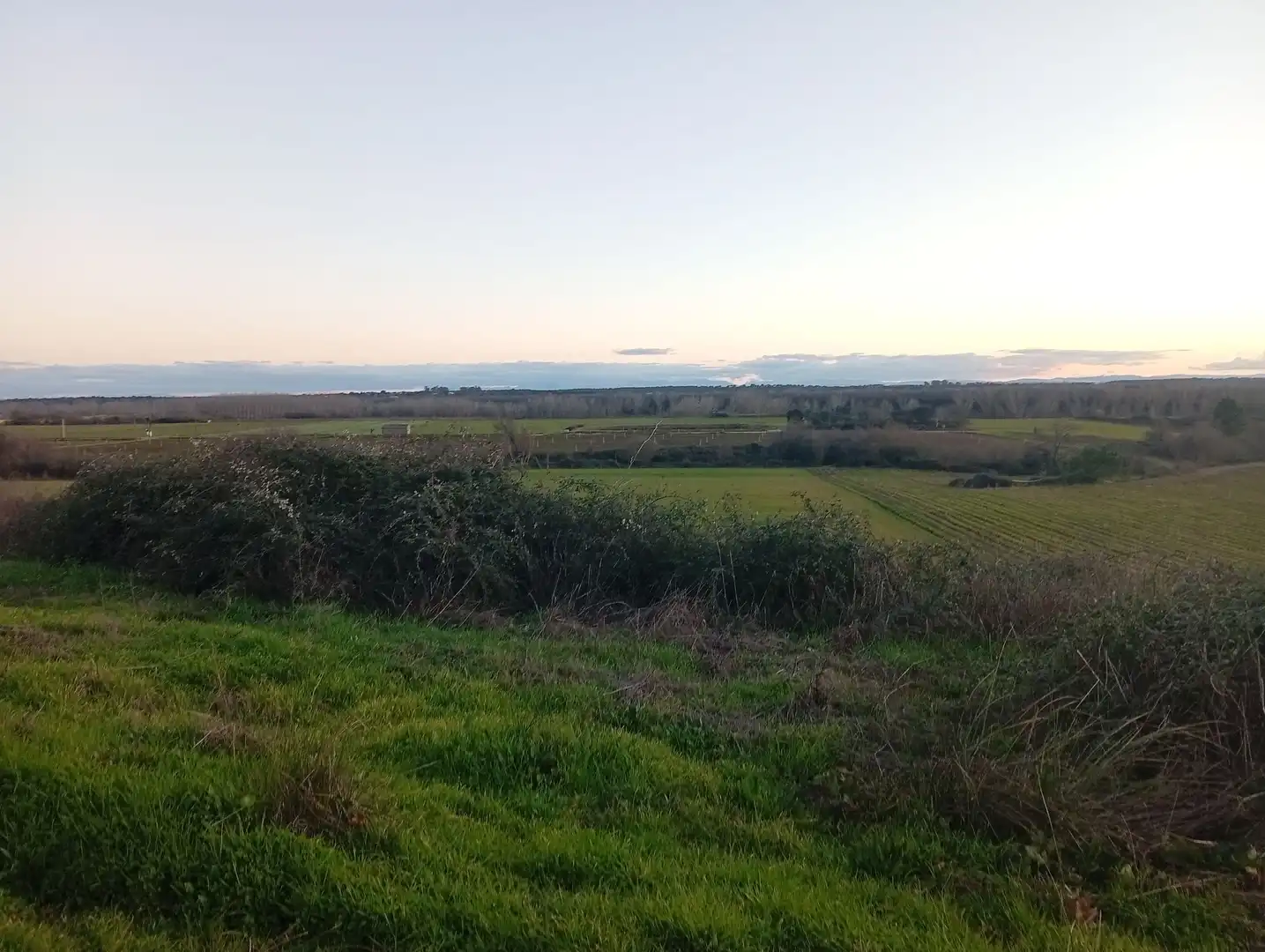 Land for sale in Losar de la Vera