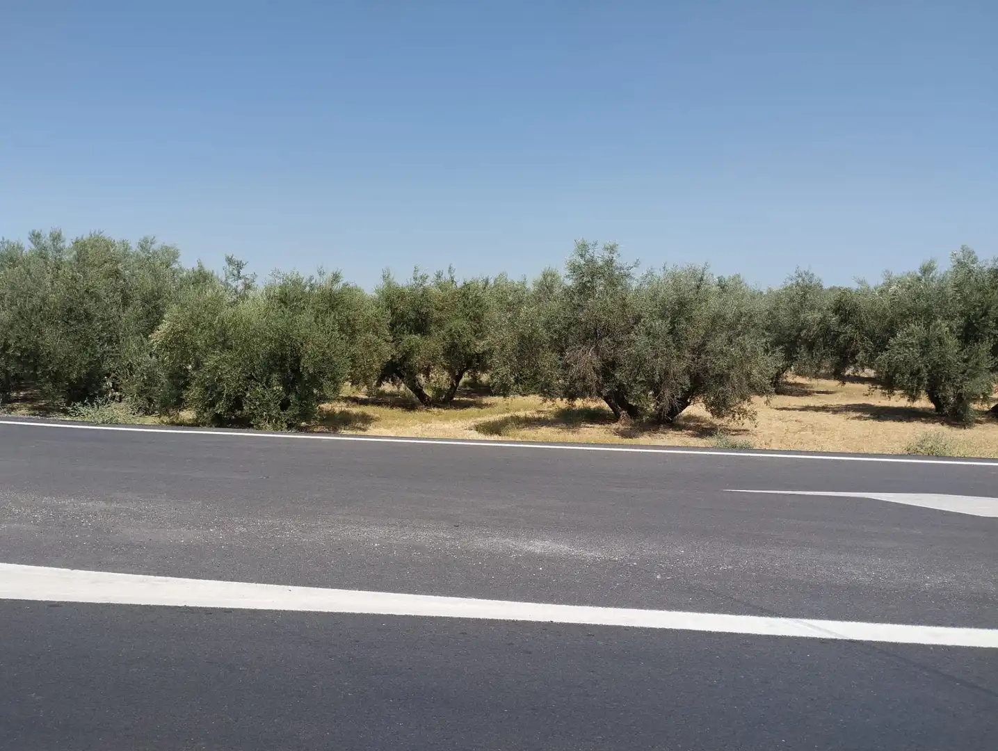 Terreno rustico in vendita a Avenida Fuente de las Piedras, imagen 3
