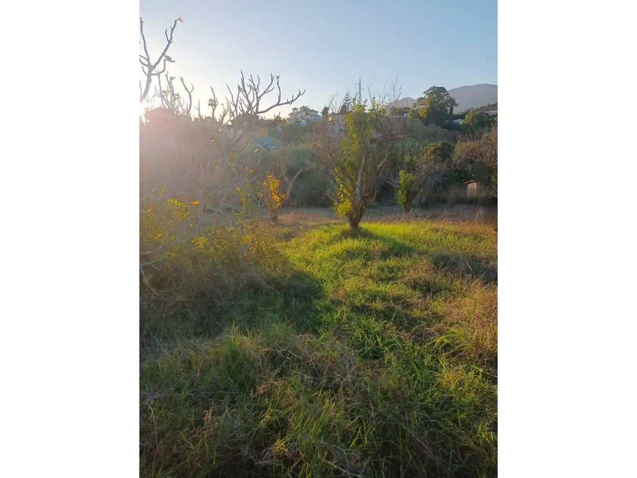 Terreno rustico in vendita a Calle montesol 50, imagen 8
