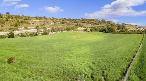 Parcela perfecta con proyecto para construir la casa de sus sueños en venta en Manacor, Mallorca, imatge 5