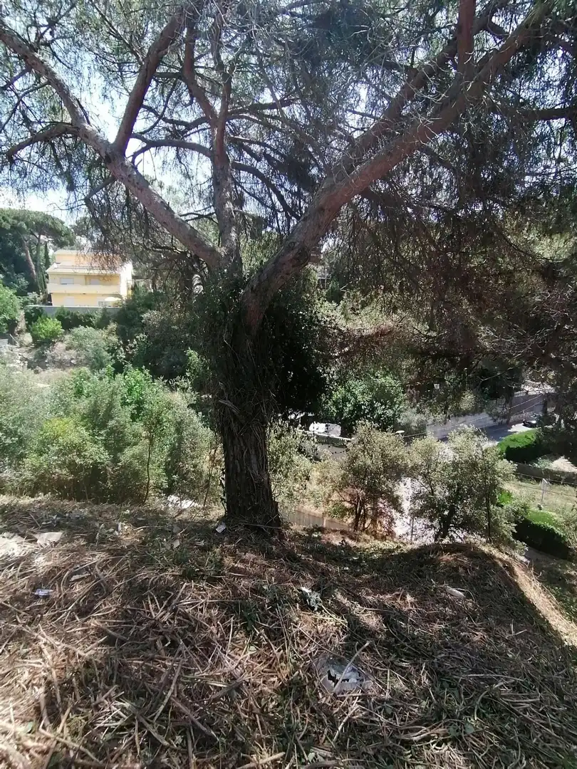 Terreno residencial en venta en Can Massuet del Far
