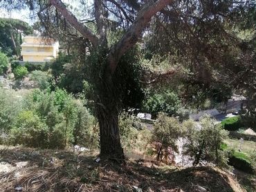 Terreny residencial en venda a Can Massuet del Far