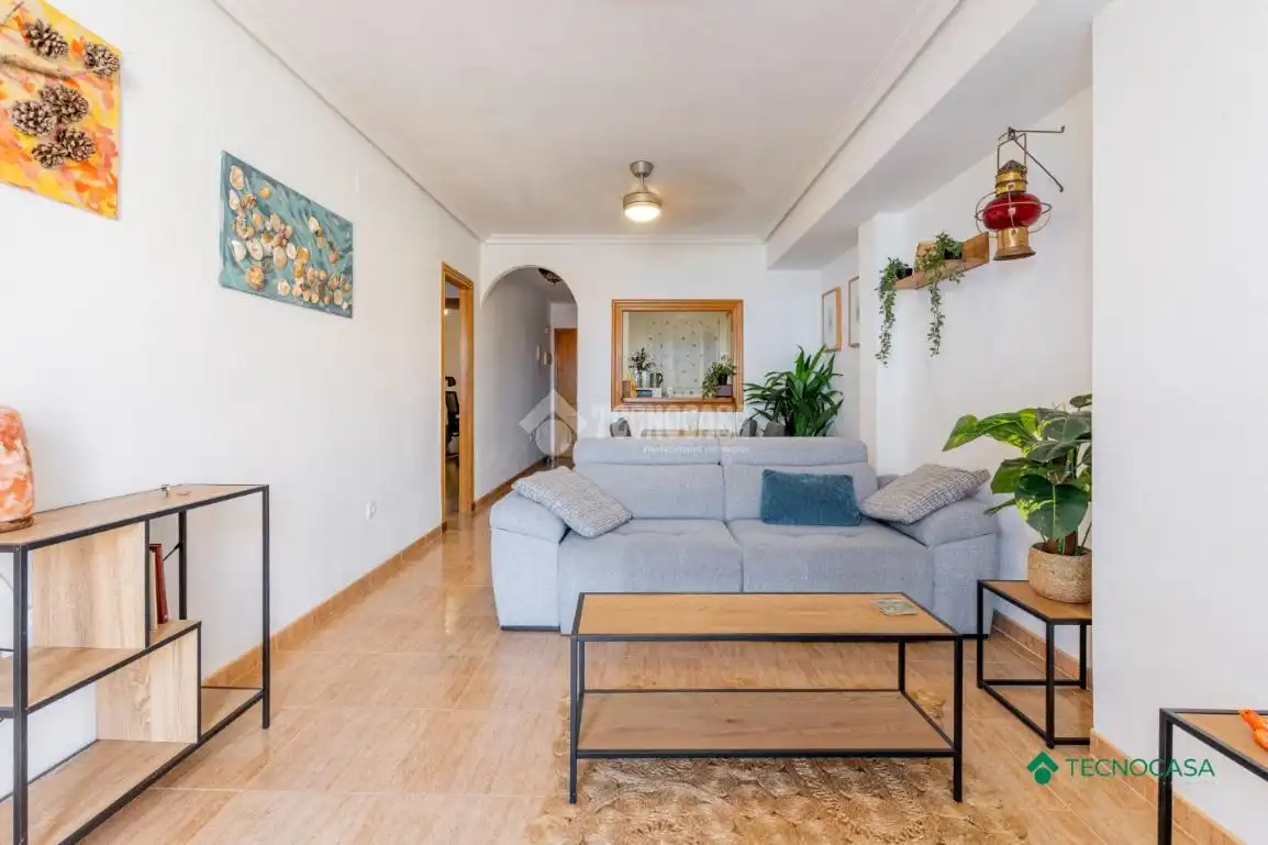 Sala d'estar de Pis en venda en Roquetas de Mar amb Parquet i Terrassa