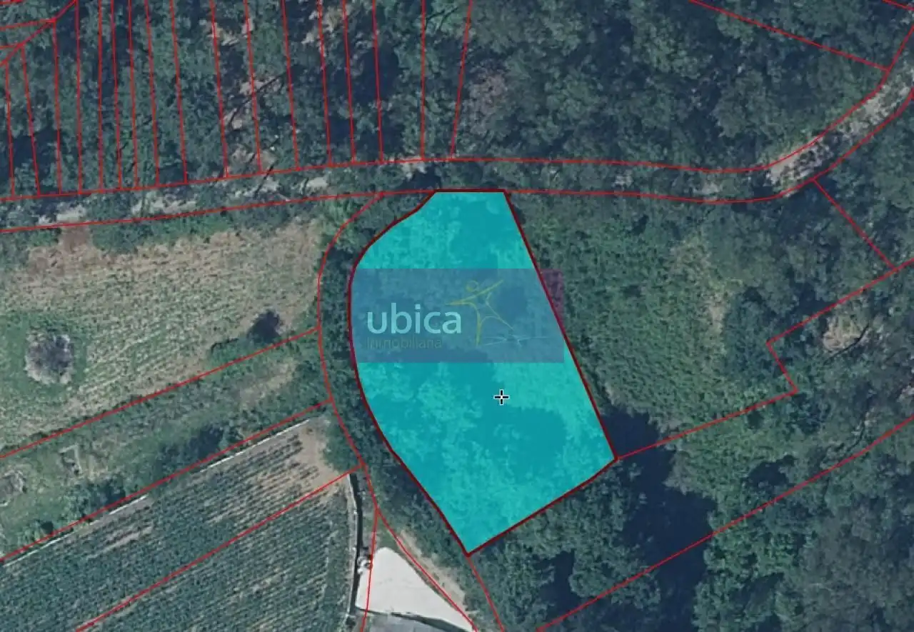 Lands and plots for sale in Salceda de Caselas, imagen 7