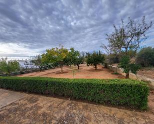 Casa o xalet en venda en Casas de Benítez amb Terrassa