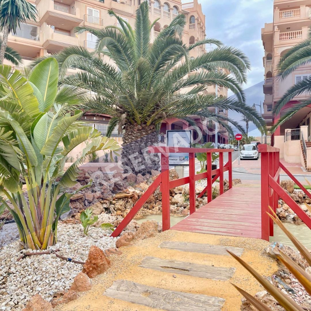 Exterior view of Flat for sale in El Ejido  with Terrace, Furnished and Community pool