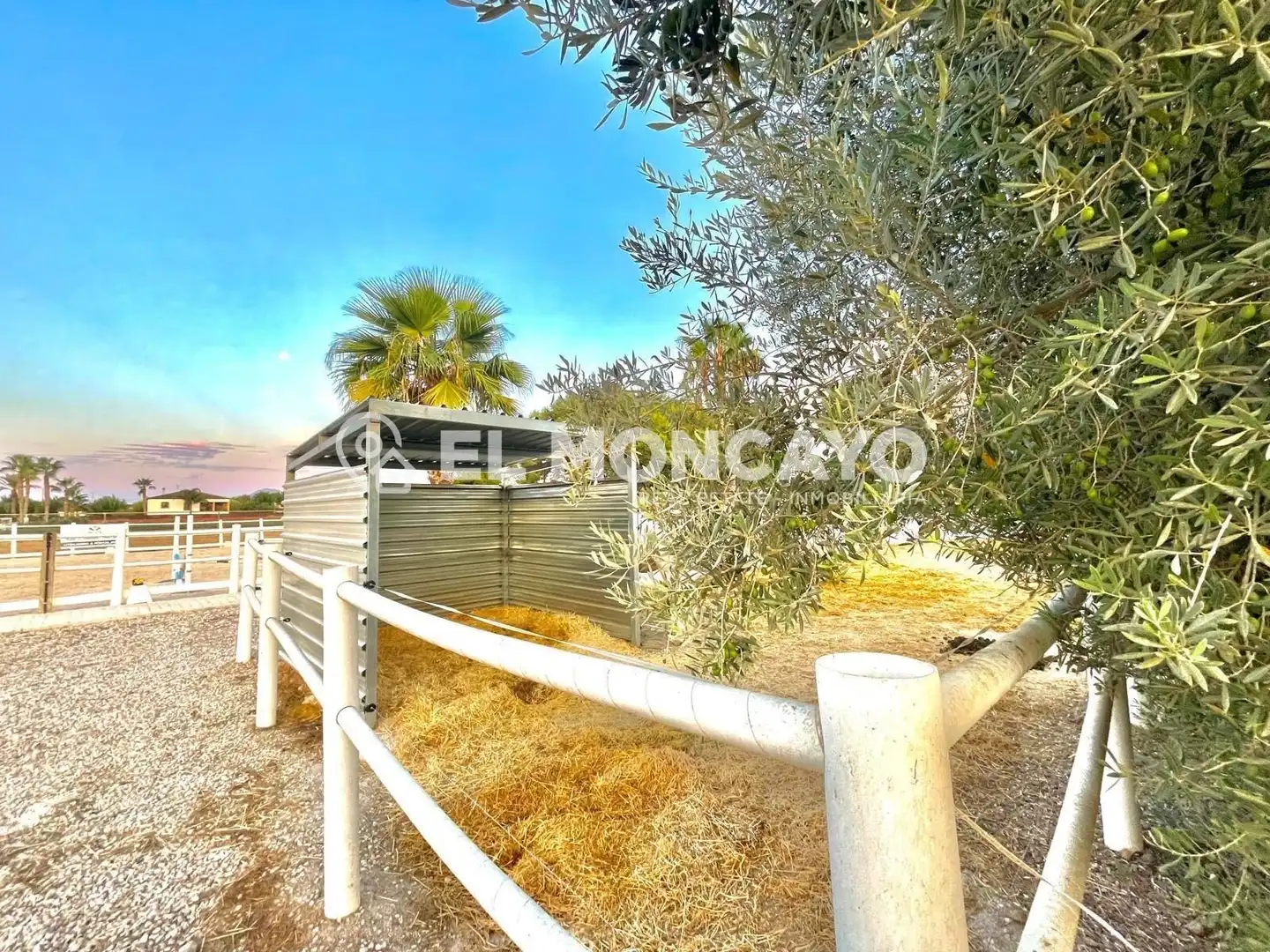 Casa con piscina en venta en Dolores, imagen 9