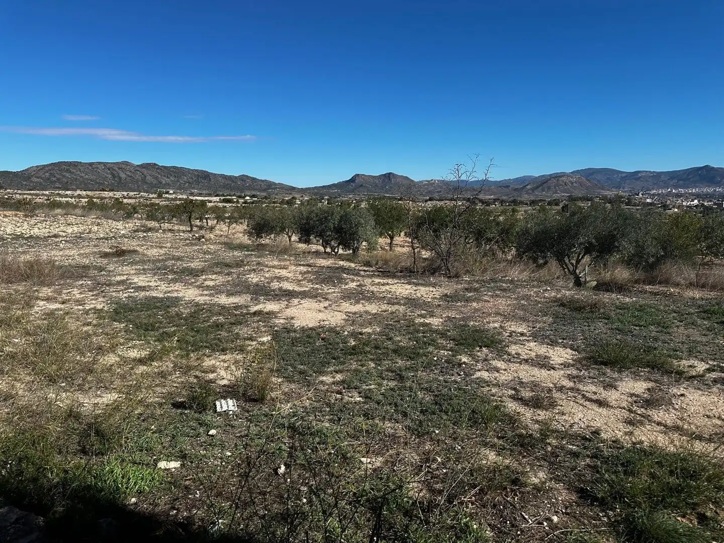 Xalet en venda a Monóvar  / Monòver, imagen 28