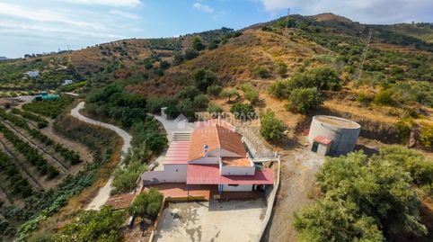Foto 3 de Finca rústica en venda a Avda Pescia - Ctra de Frigiliana, Nerja
