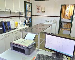 Premises to rent in Alameda de Osuna