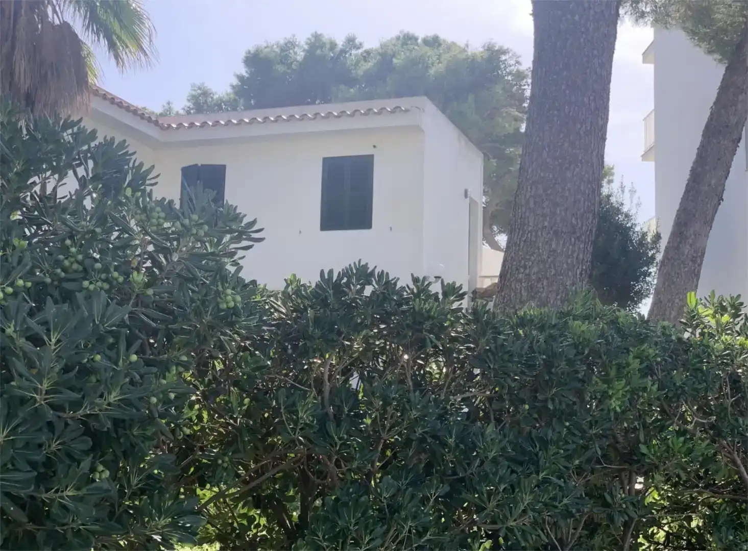 Vista exterior de Casa o chalet en venta en Alaior con Aire acondicionado, Piscina y Balcón