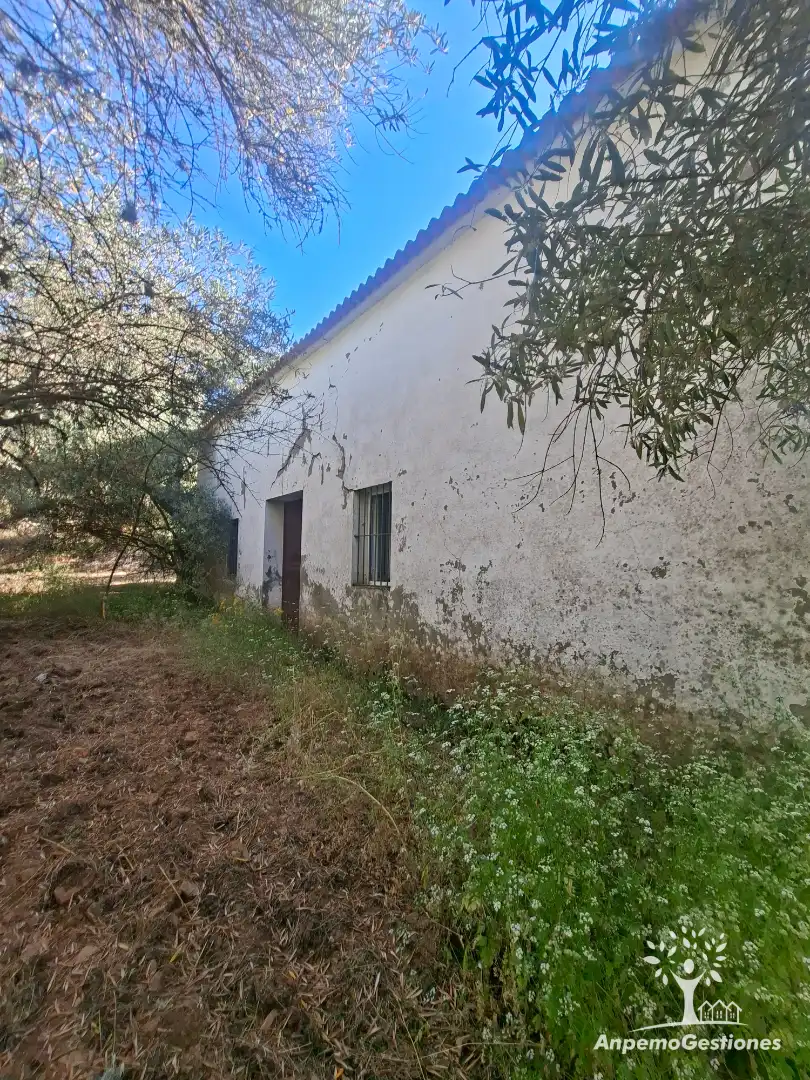 Exterior view of Land for sale in Las Navas de la Concepción