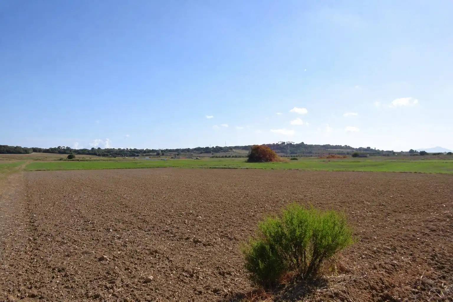 Rural land for sale in Muro, imagen 2