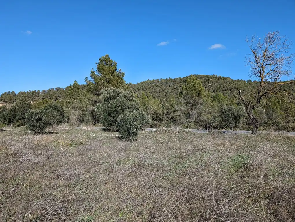 Terreni e lotti in vendita a Arens de Lledó, imagen 7