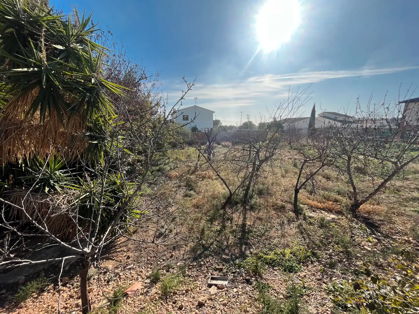 Residencial en venta en Roda de Berà