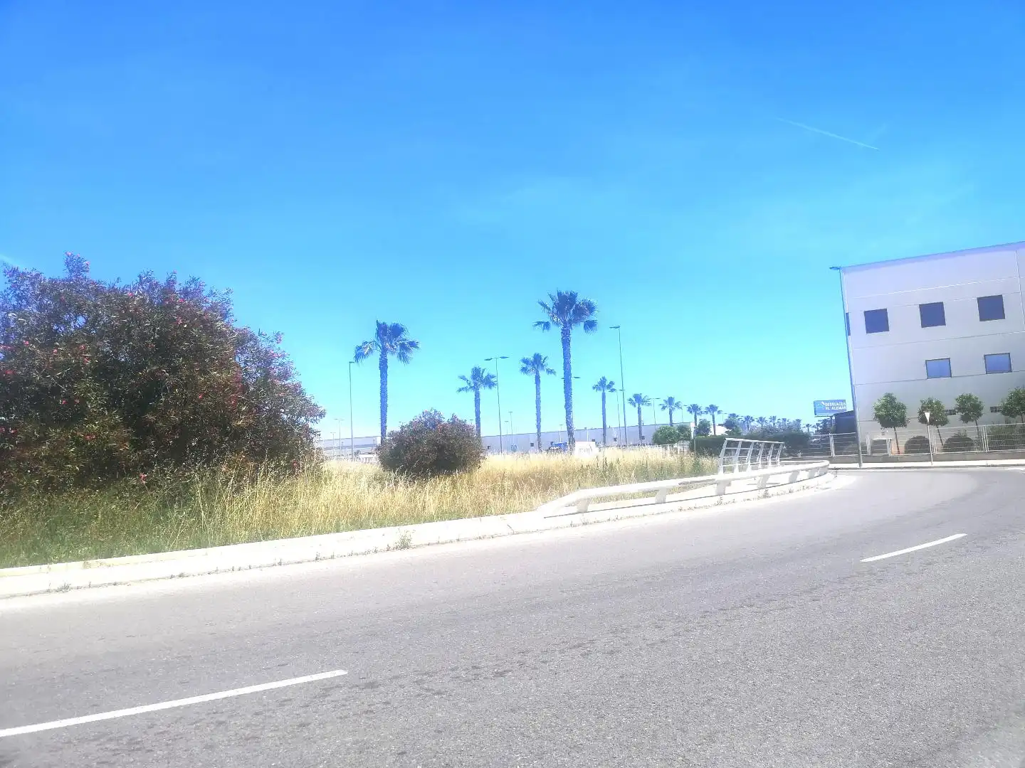Exterior view of Industrial land for sale in Alzira