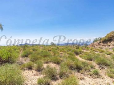 Terreno residenziale in vendita a Canillas de Albaida
