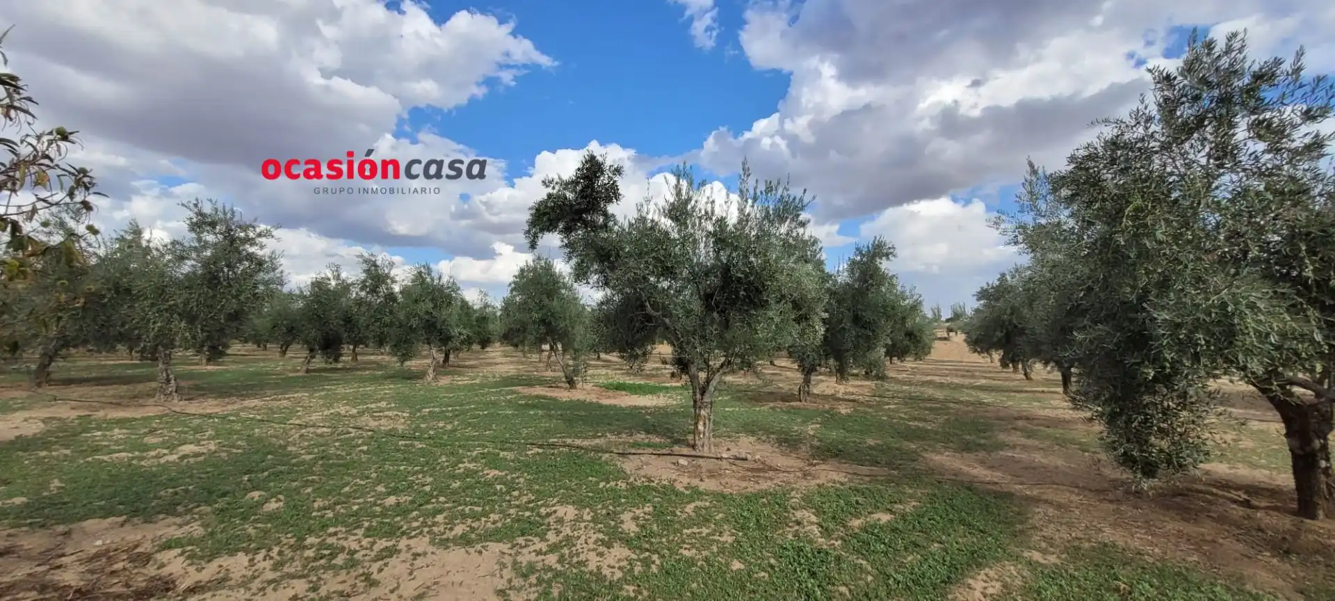 Casa rústica en venta en Alcaracejos, imagen 14
