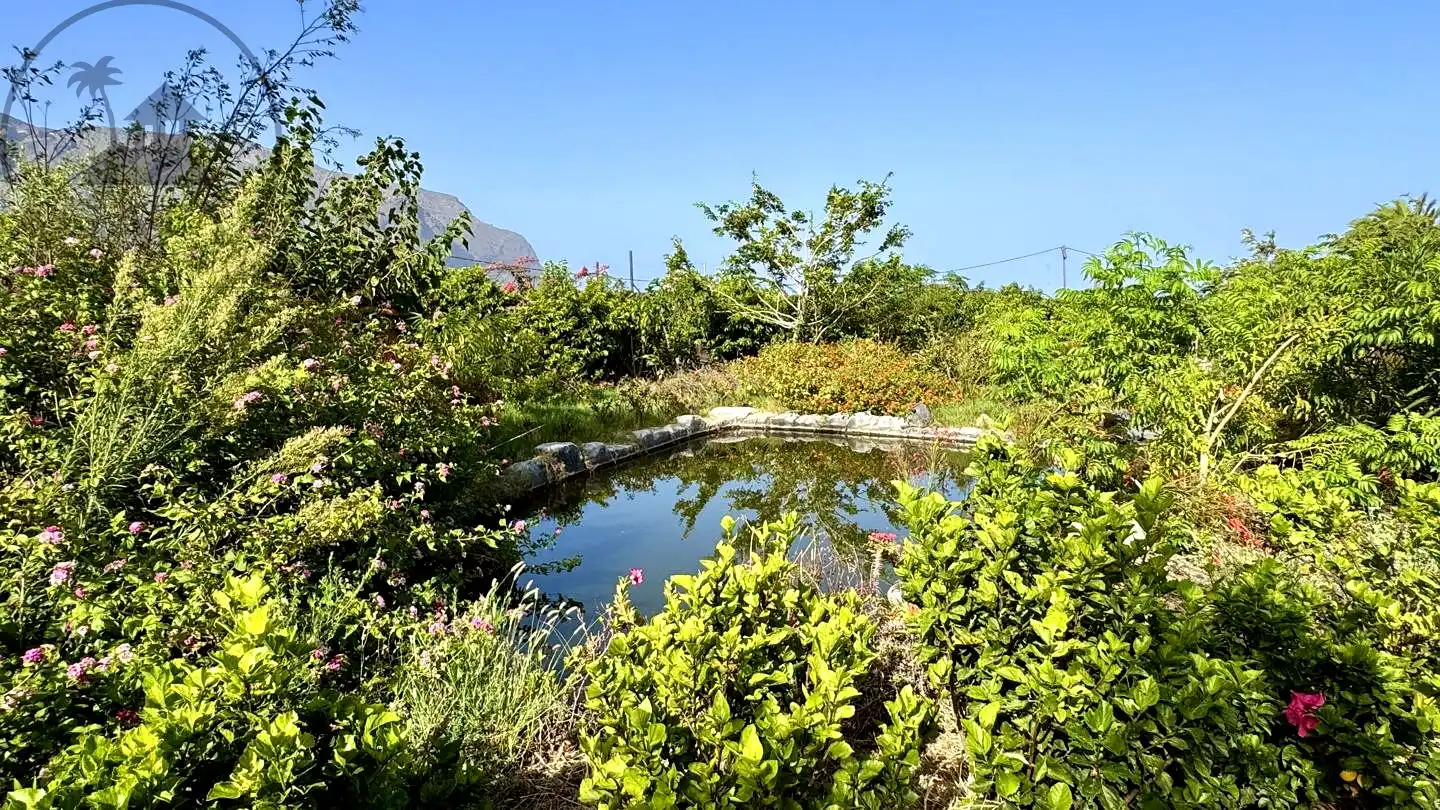 Jardí de Finca rústica en venda en Buenavista del Norte amb Jardí privat i Terrassa