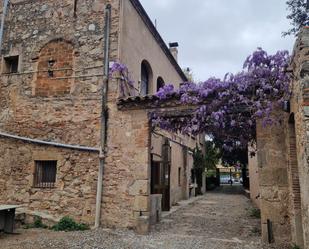 Exterior view of House or chalet for sale in Sant Joan Despí  with Terrace