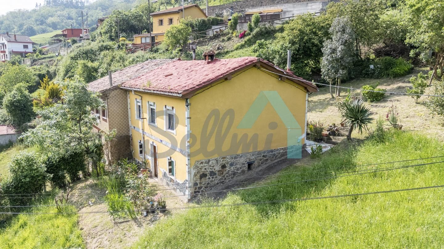 Exterior view of Single-family semi-detached for sale in Mieres (Asturias)  with Private garden and Storage room