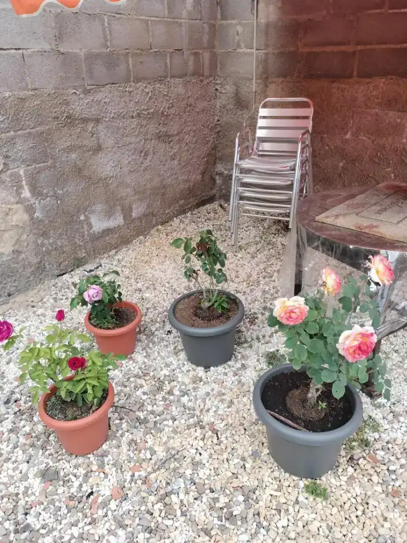 Terrassa de Finca rústica en venda en Villafeliche amb Aire condicionat, Jardí privat i Balcó