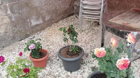 Foto 5 de Finca rústica en venda a Calle Hospital, 8, Villafeliche, Zaragoza