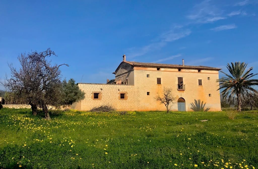 Vista exterior de Terreno en venta en  Palma de Mallorca