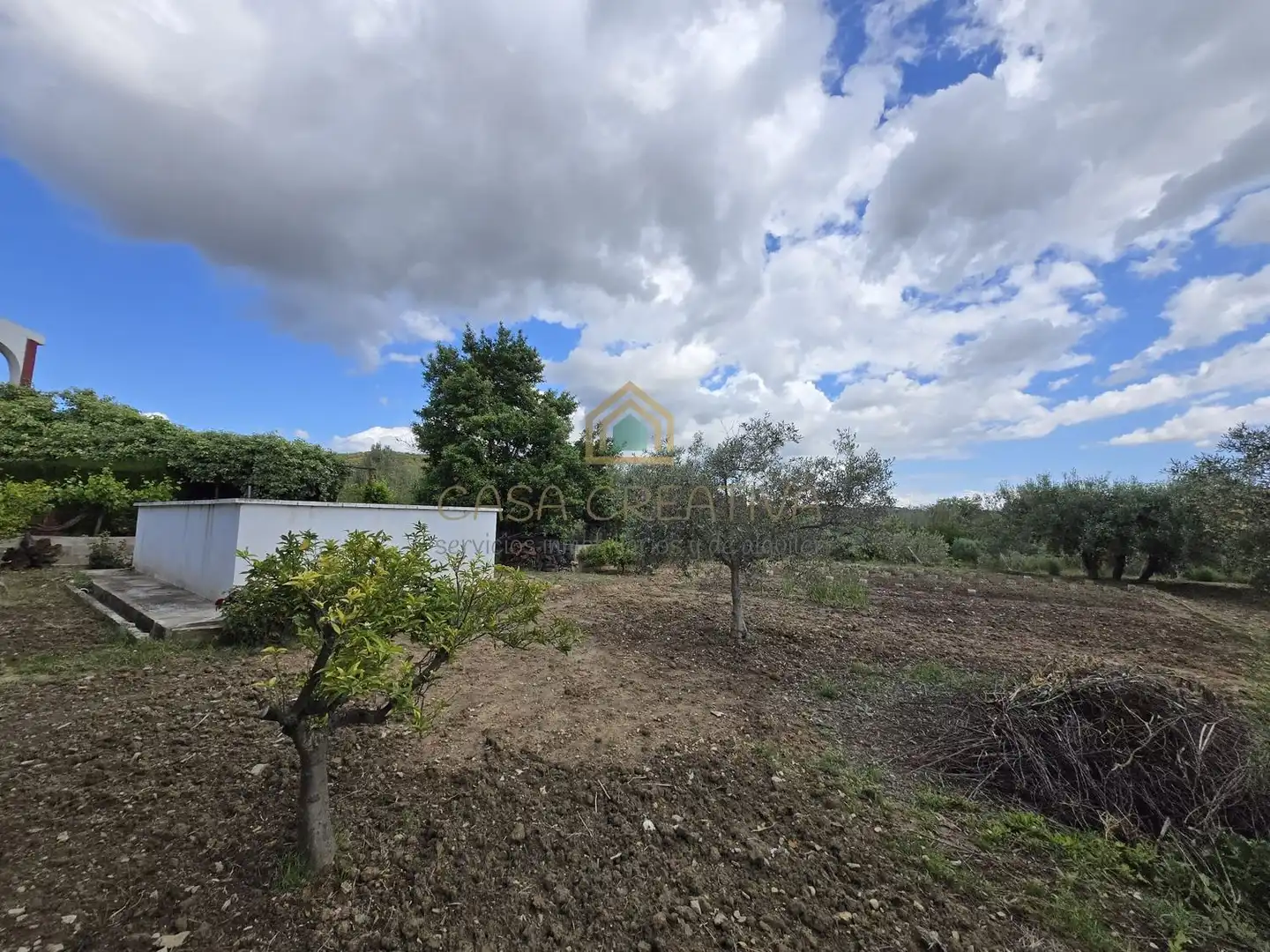 Xalet amb piscina en venda a POLIGONO 15, PARCELA 295, EL RINCON 0, imagen 97