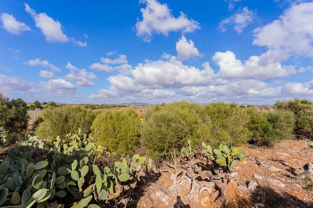 Finca rústica en venta en Cala Magrana - Cala Anguila - Cala Mendia