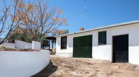 Foto 3 de Finca rústica en venda a Peñarroya-Pueblonuevo, Córdoba