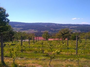 House for sale in A Estrada