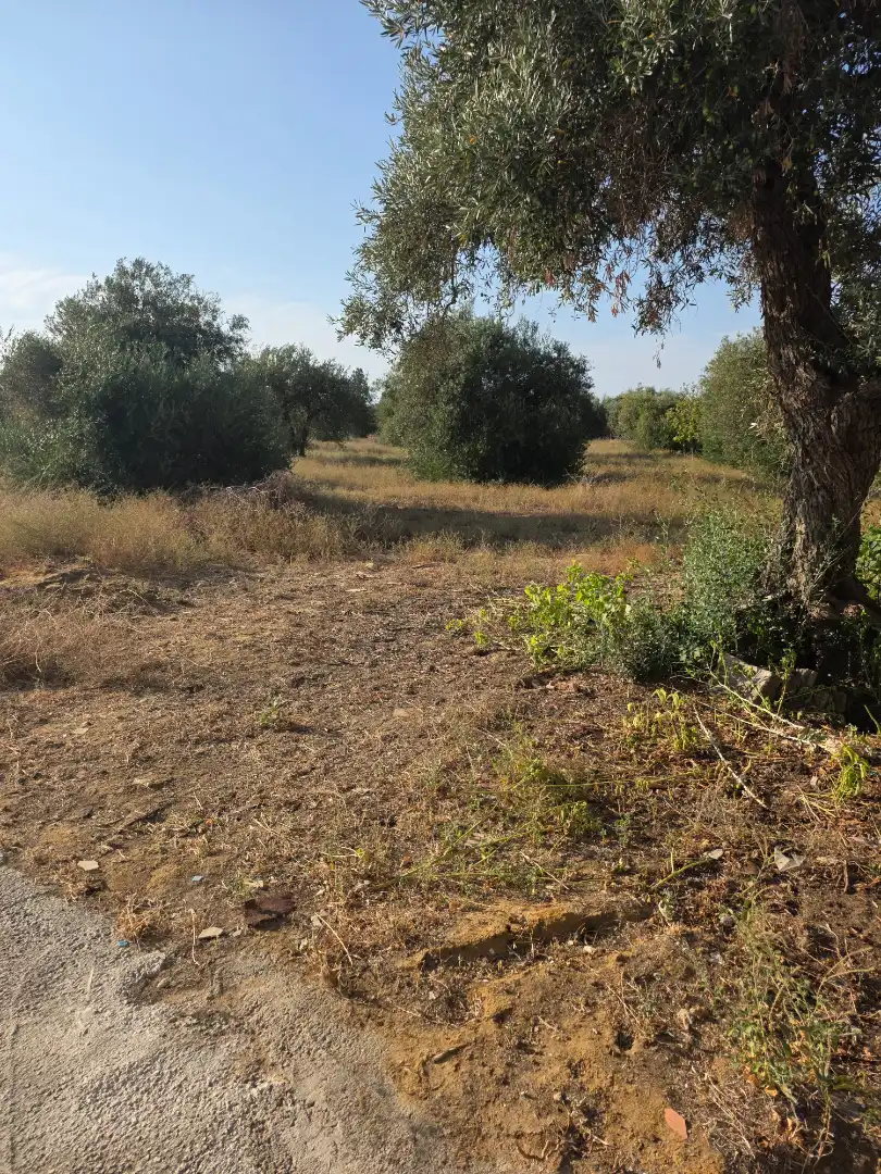 Terreni e lotti in vendita a Pedanías Norte, imagen 56
