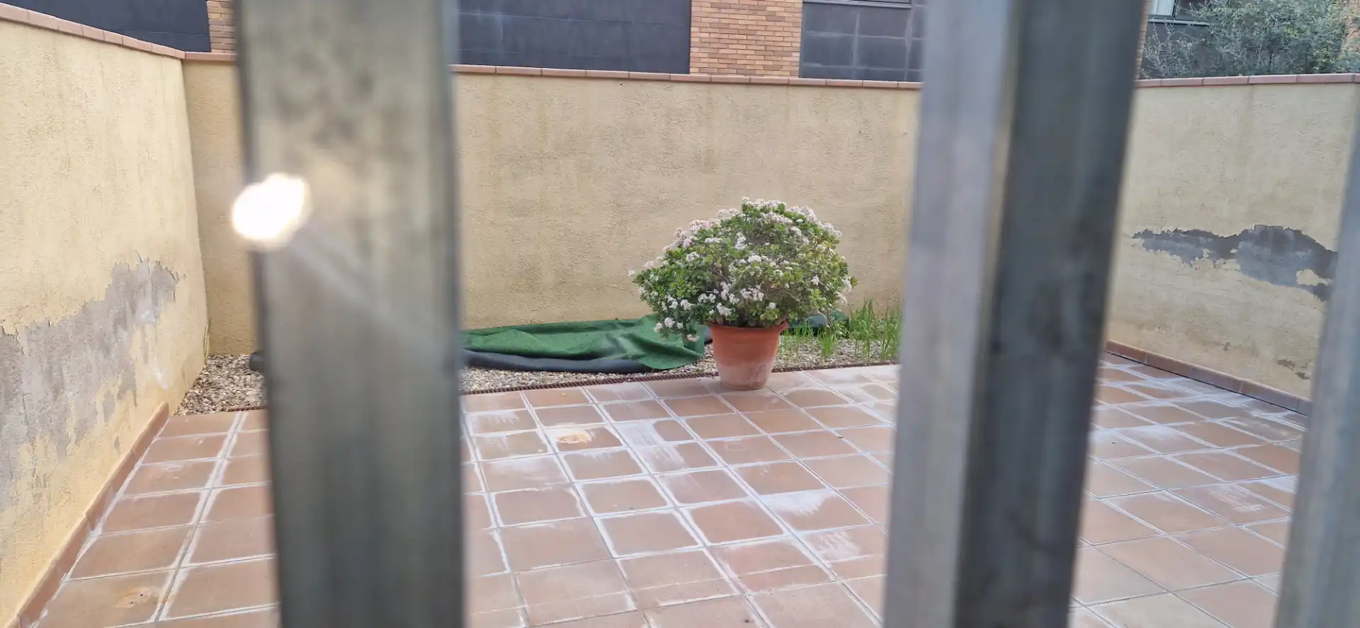 Jardí de Casa adosada en venda en Salou amb Parquet, Terrassa i Forn
