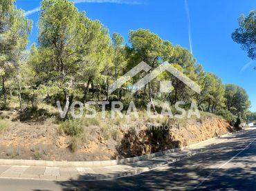 Terreno rustico in vendita a Dieciseis