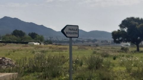 Finca rústica en Salinas, imagen 4
