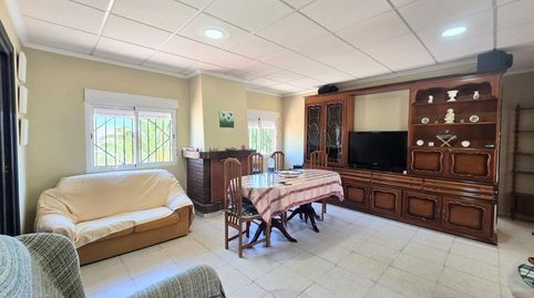 Casa de campo en Aspe, imatge 3