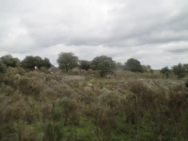 Country homes for sale in San Felices de los Gallegos