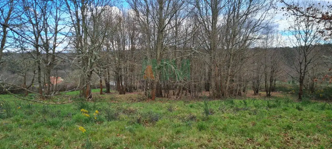 Terreni e lotti in vendita a Carretera de Celanova, imagen 10