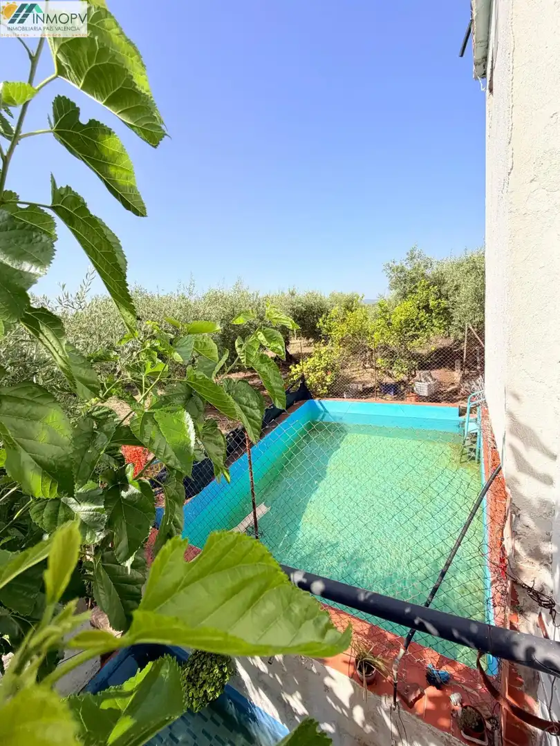 Swimming pool of Houses for sale in Vinaròs  with Private garden and Terrace