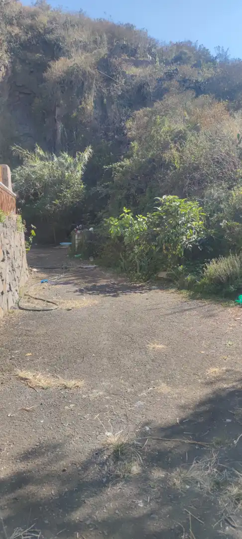 Terreno en venta en Tegueste