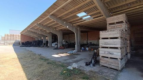 solar industrial agricola en Boldu, imatge 2