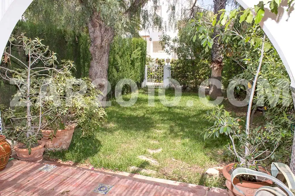 Houses for rent in Calle Rumina, El Palmeral