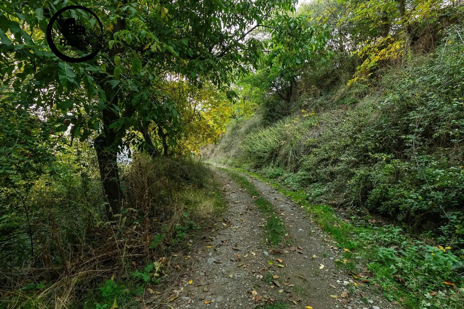 Lands and plots for sale in Güéjar Sierra, imagen 17