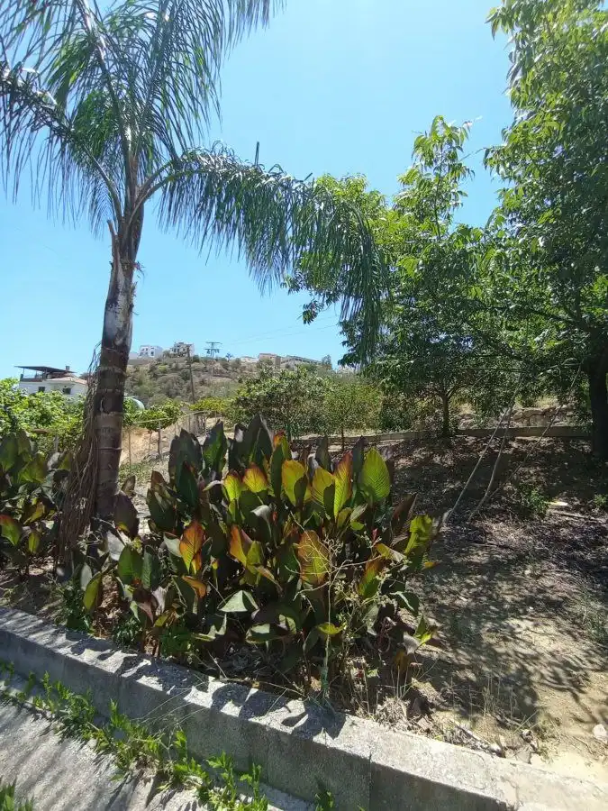 Finca rústica en venda en Álora amb Terrassa