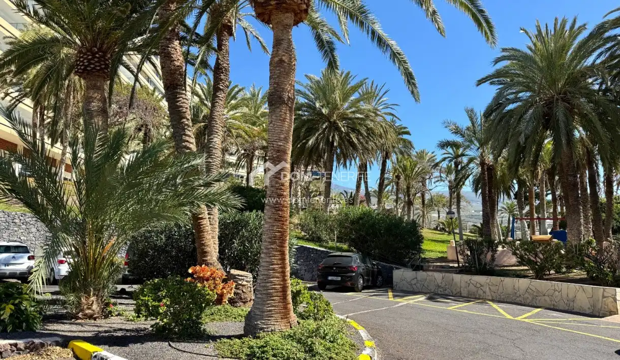 Vista exterior de Piso en venta en Adeje con Terraza, Piscina y Amueblado